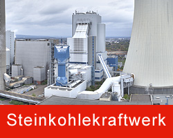 steinkohle
